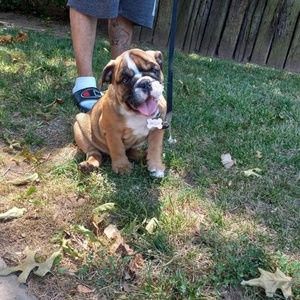 Meet your Posher, Jonathon